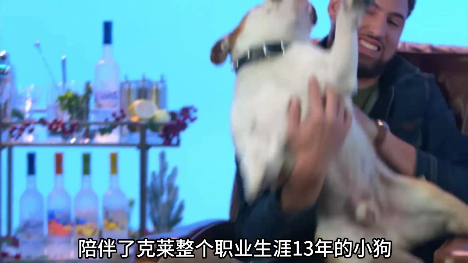 陪伴克萊13年的小狗去世了，不敢相信克萊得多么傷心